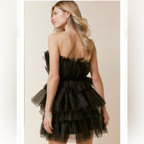 Audrey Parks Mini Tiered Tulle Dress 🖤 - Picture 4 of 9